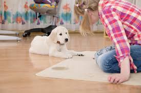 Carpet Cleaning Services West End