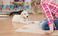 Carpet Cleaning Services Upper Barron